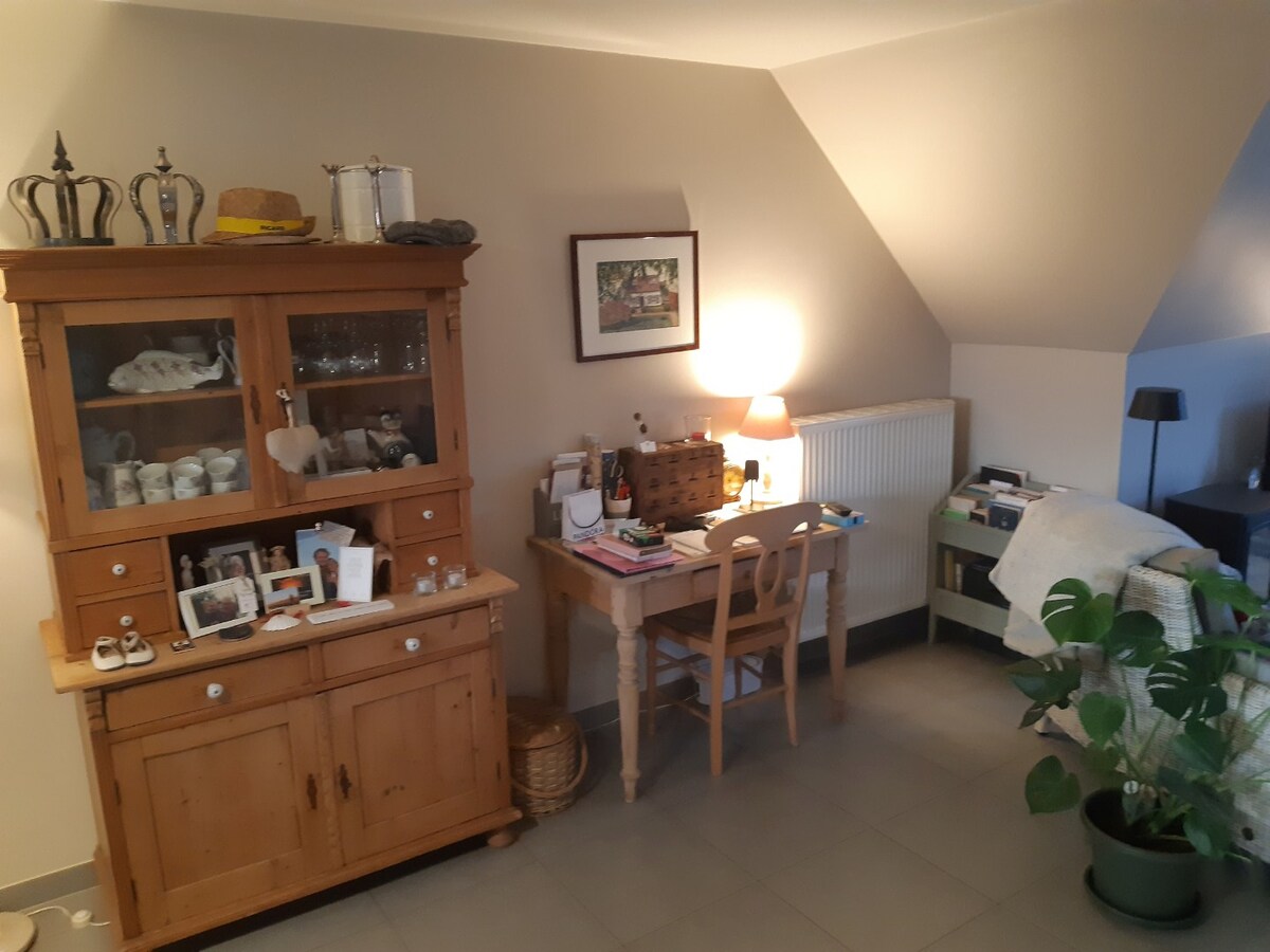 Ruim, eigentijds duplex-appartement 