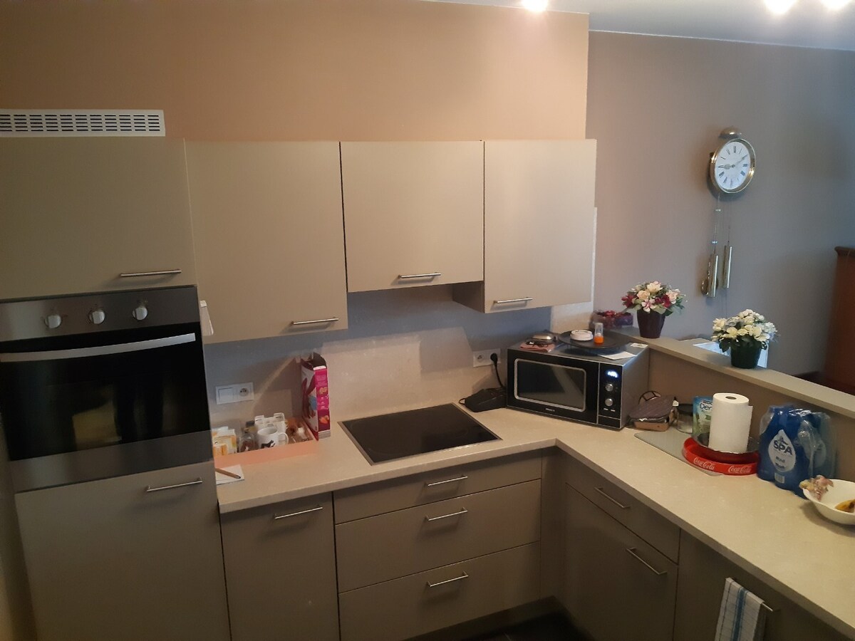 Ruim appartement met 2 terrassen. 