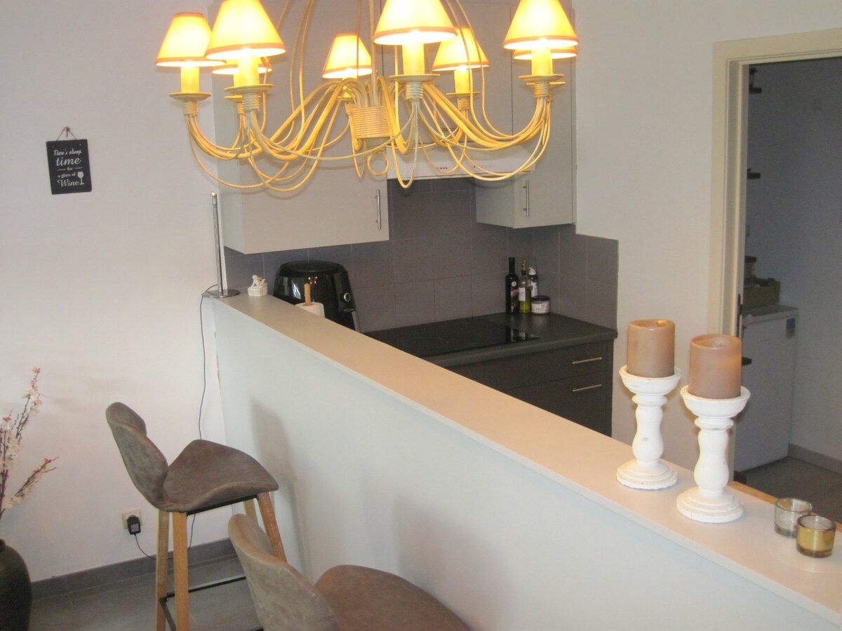Eigentijds 1 slpk-appartement in centrum Gavere ! 