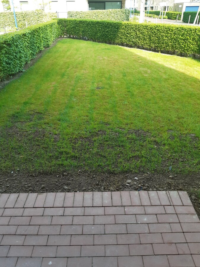 Aangename studio nabij Station (in t groen met terras). 