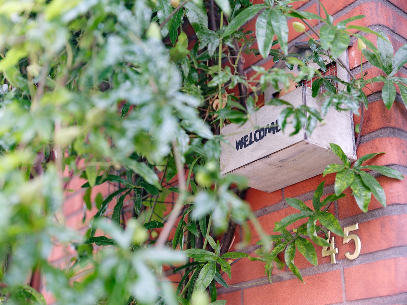 Ruim huis met stadstuin 