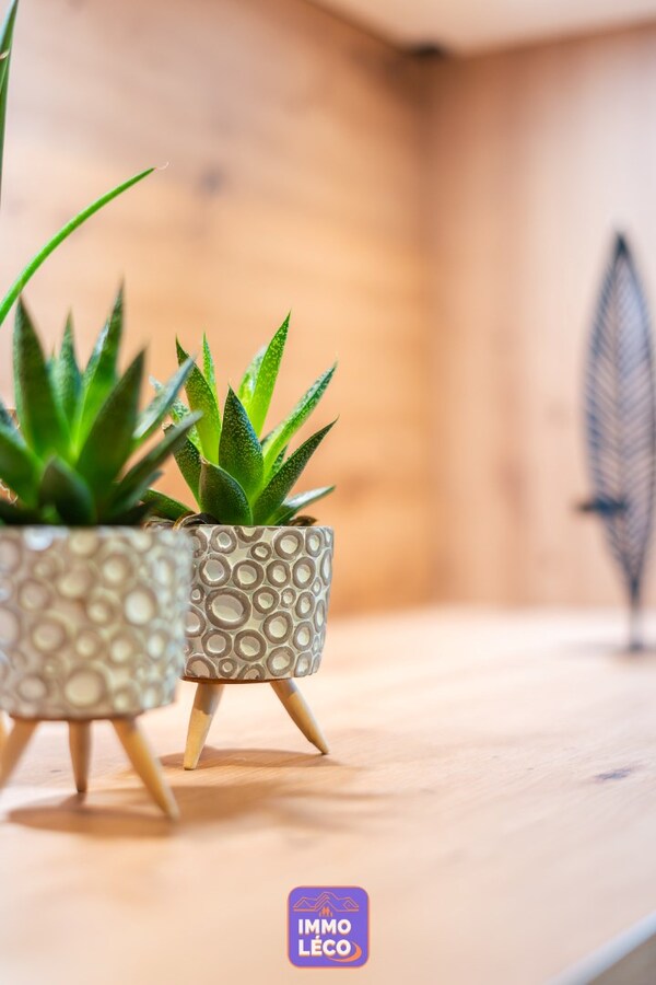 Maison rénovée COUP de COEUR avec jardin, garage et parking ! 