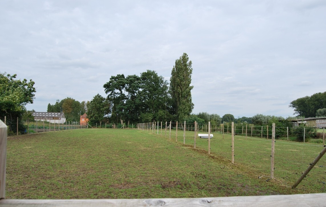 Instapklare woning met 2 stallen op ca.4000m² te Lebbeke 