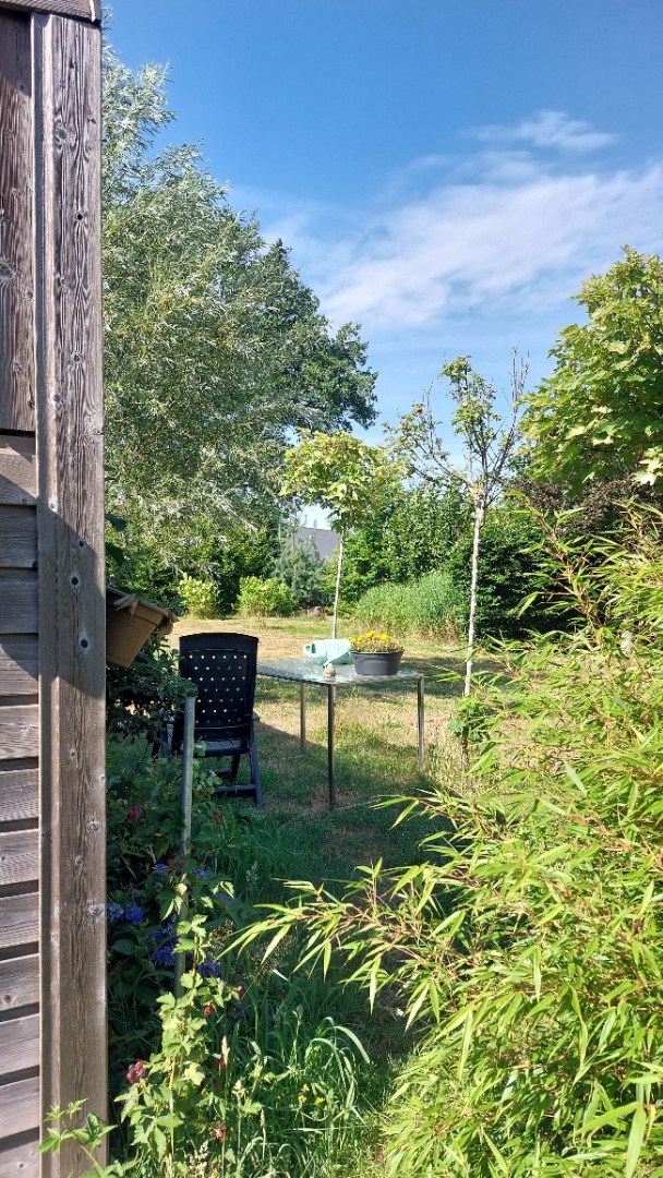 Bos te koop in Weert