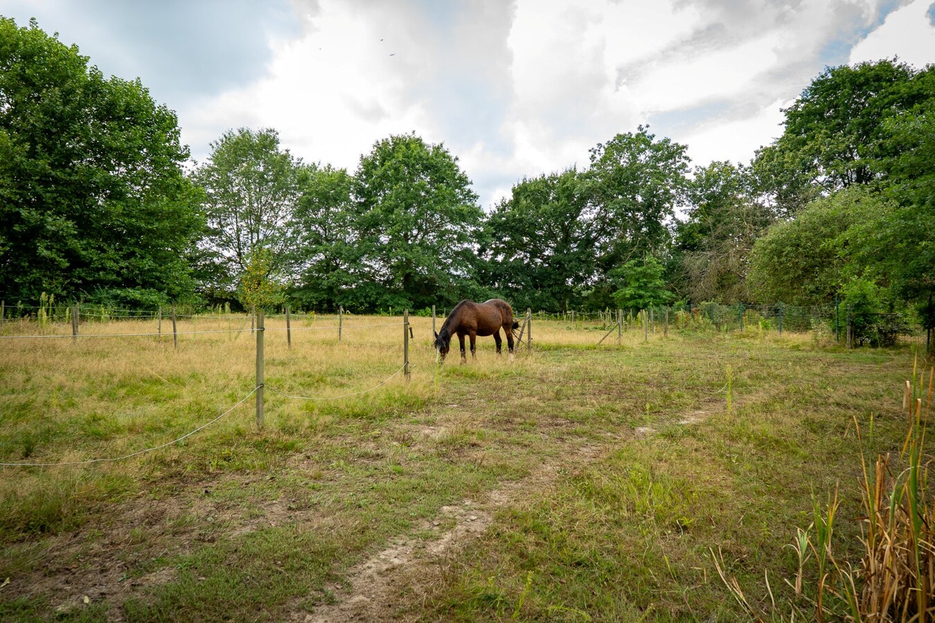 Karaktervolle hoeve met weides op ca. 2ha te Herk-de-Stad 