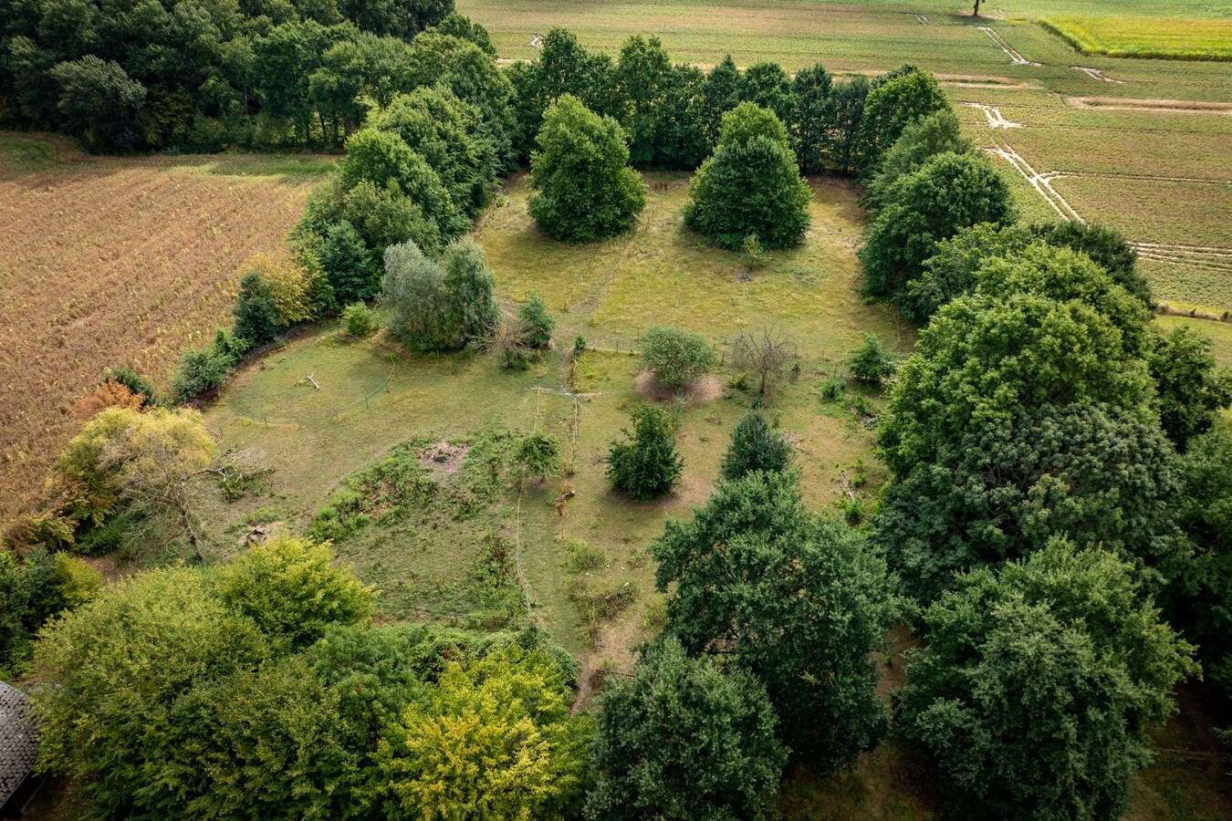 Karaktervolle hoeve met weides op ca. 2ha te Herk-de-Stad 