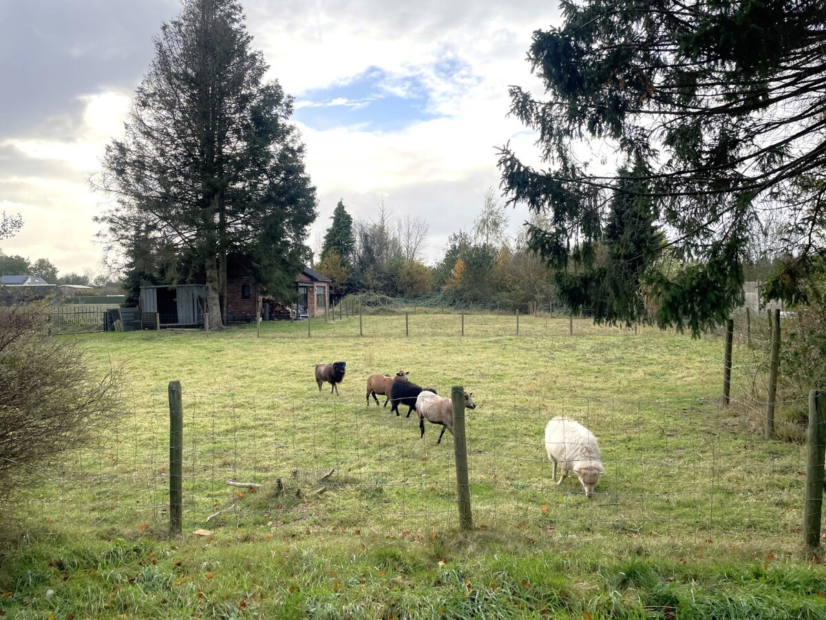 Woning verhuurd in Weelde