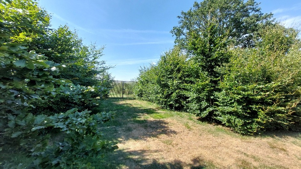 Bos te koop in Weert