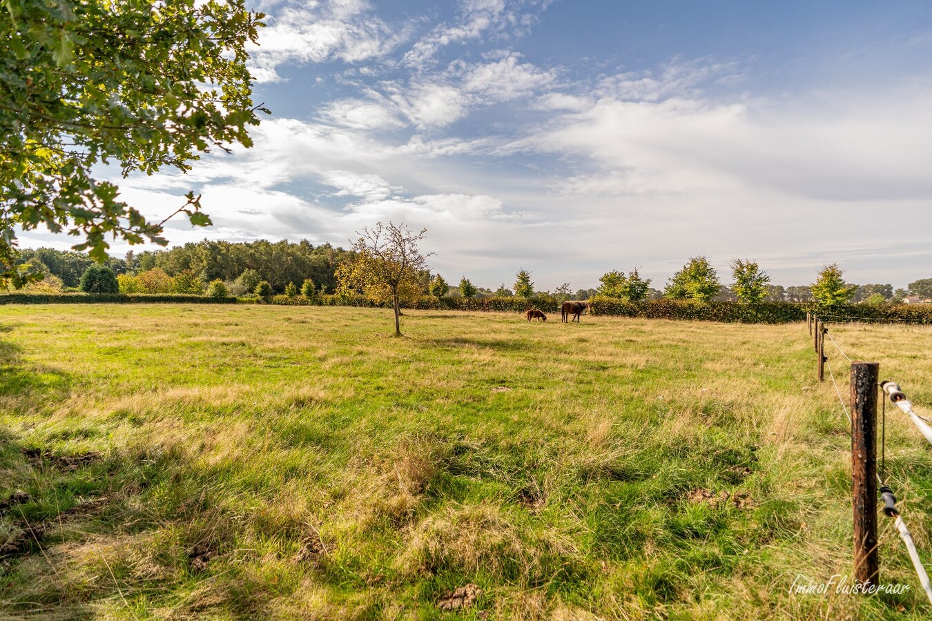 Instapklare hoeve met paardenfaciliteiten op ca. 2,5 ha te Gruitrode (Oudsbergen) 