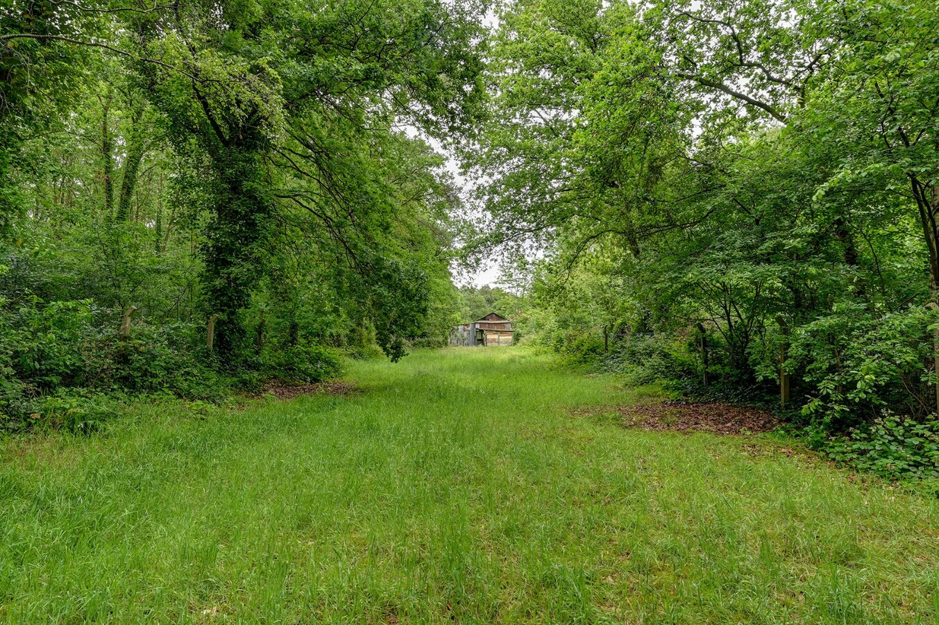 Te renoveren woning op een prachtig perceel van circa 22 are 