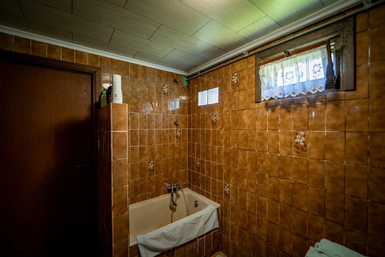 Renovated farmhouse with pasture on approximately 2 hectares in Veldegem. 