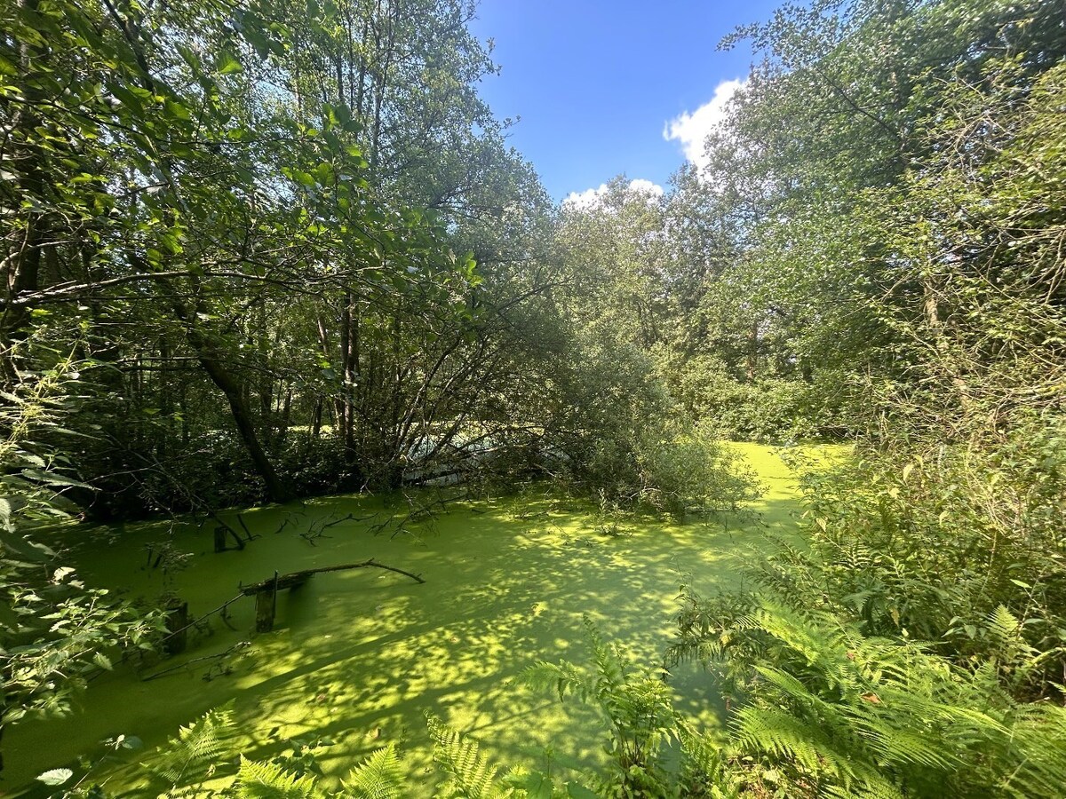 Te koop recreatie - Geel