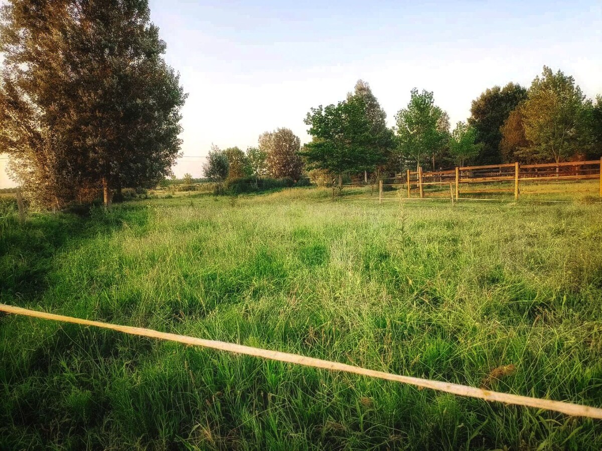 Landelijke hoeve met paardenfaciliteiten op ca. 1,3ha te Riva del Po (Noord-Italië) 