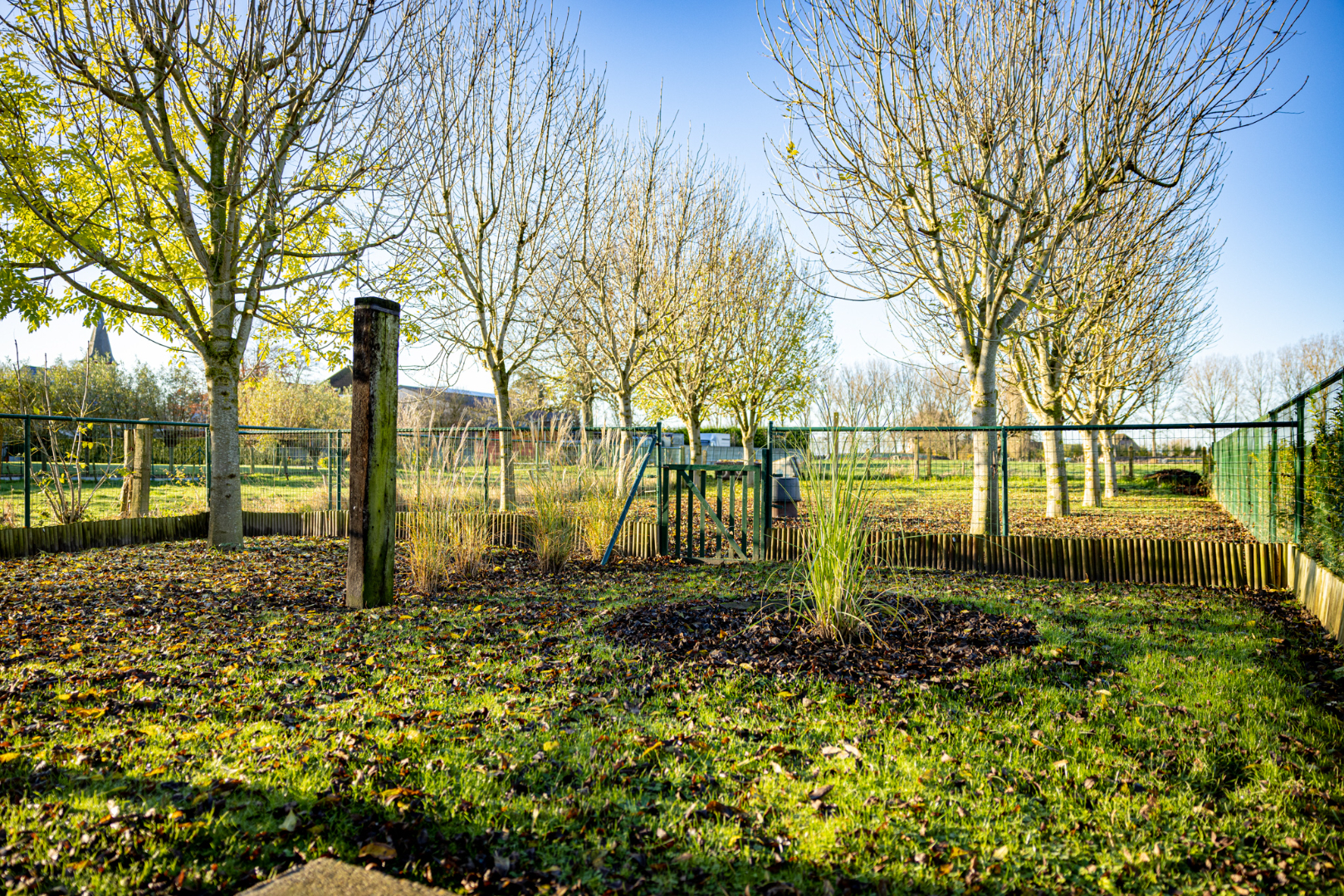Gerenoveerde woning met 3 slpks, tuin en zicht op de weilanden 