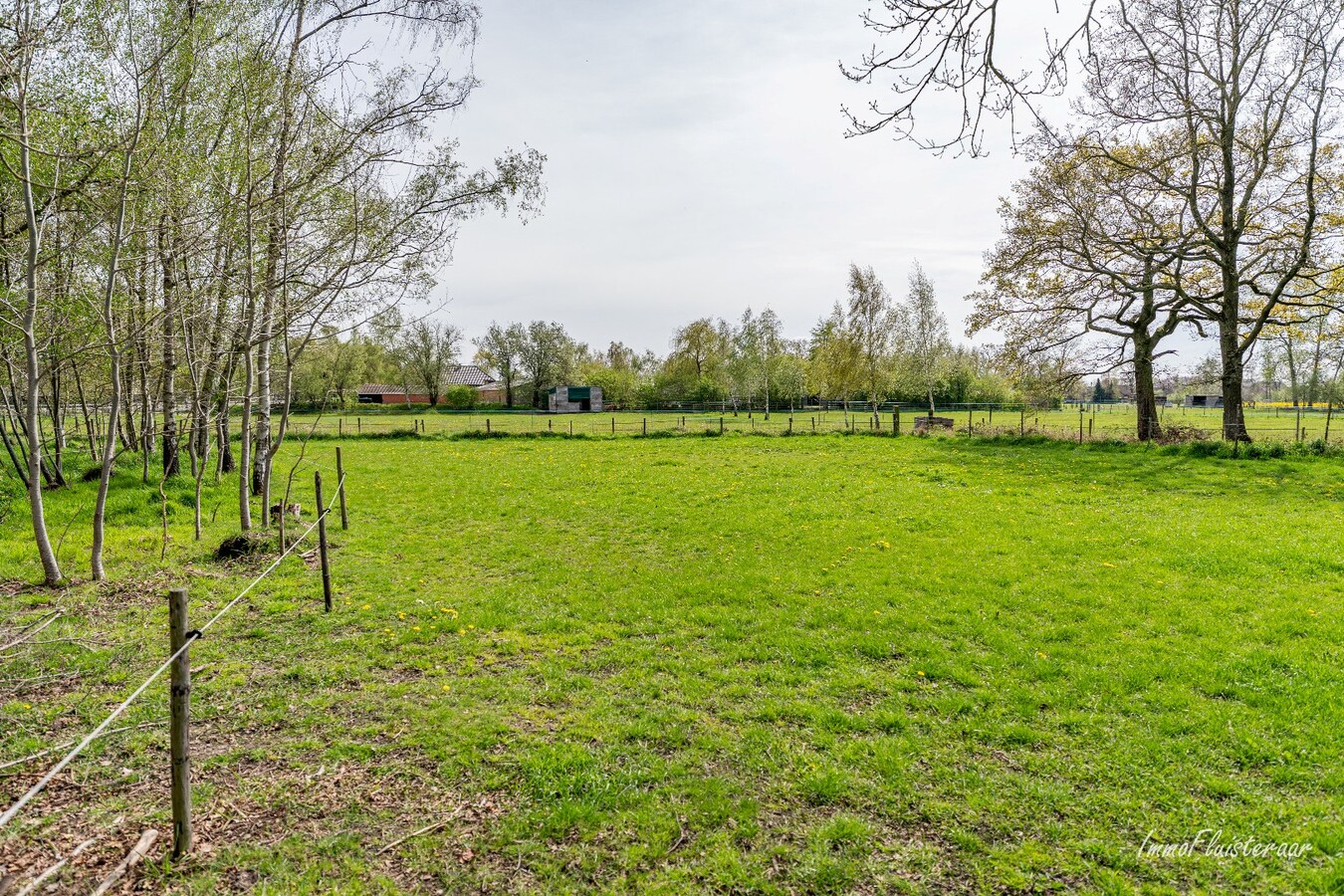 Woning met stalgebouwen en buitenpiste op ca. 6ha te Bocholt 