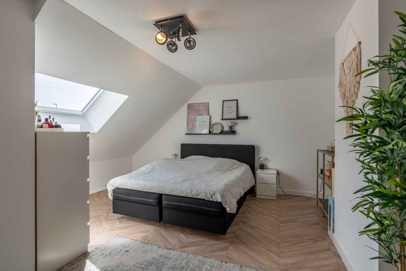 Ruime woning in Dorne(Maaseik) met 4 slaapkamers, gelegen op een uitzonderlijk ruim perceel. 