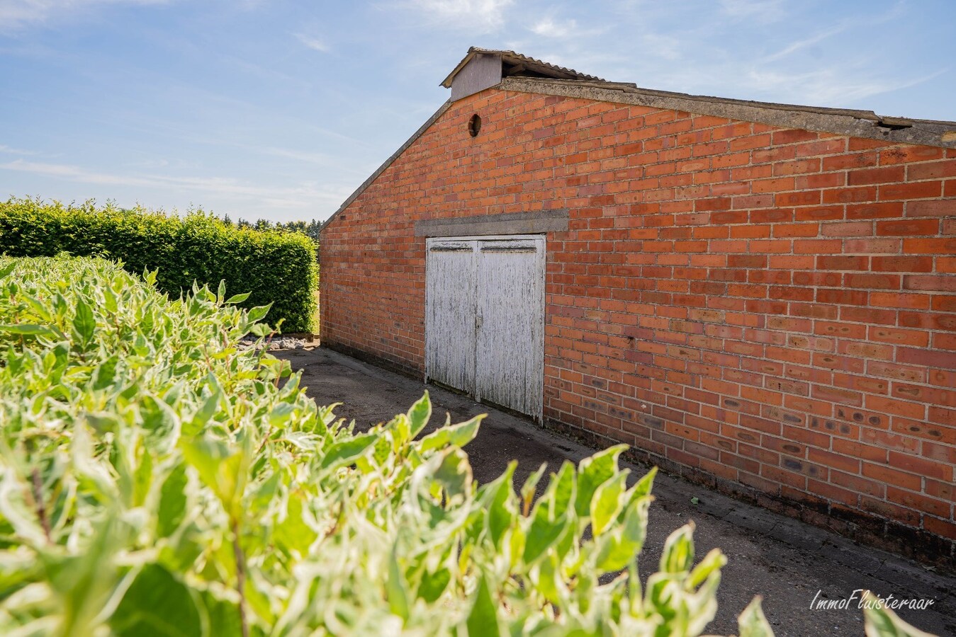 Belle maison avec écurie et terrain d'environ 1,63 ha à Opglabbeek (Oudsbergen) 