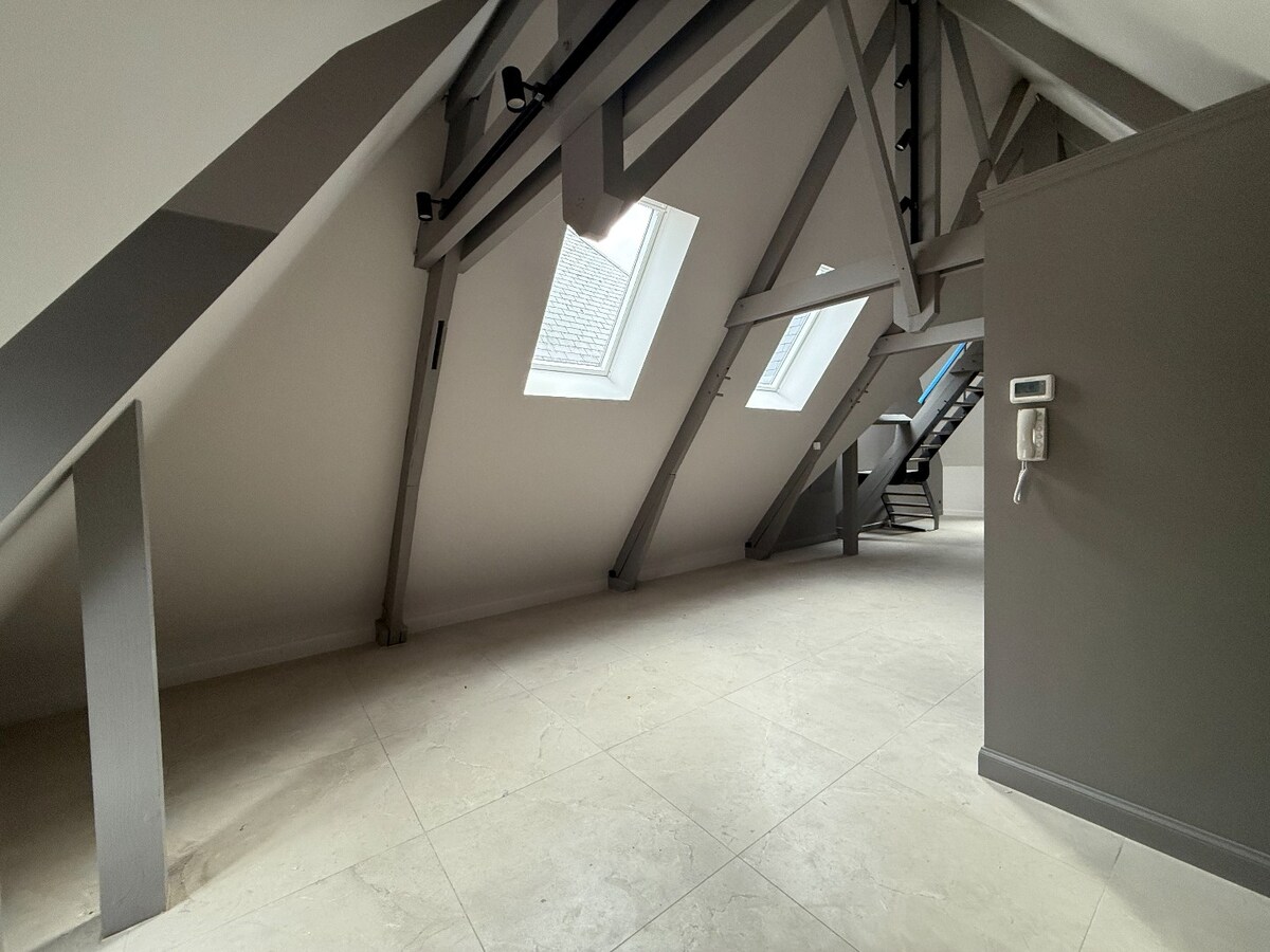 Duplex avec mezzanine en plein centre ville ! 