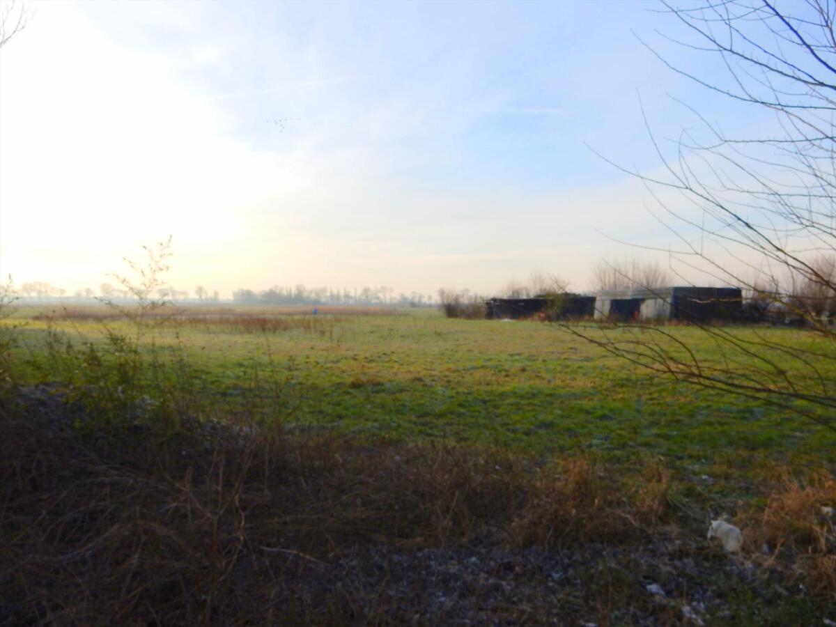 Weiland te koop Stalhille 