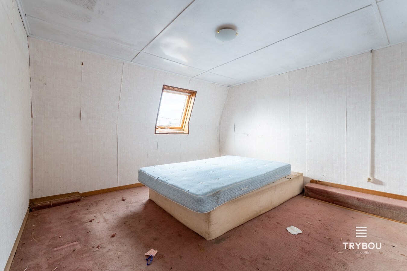 Ruime woning met winkelruimte, loods (optioneel) en garage 