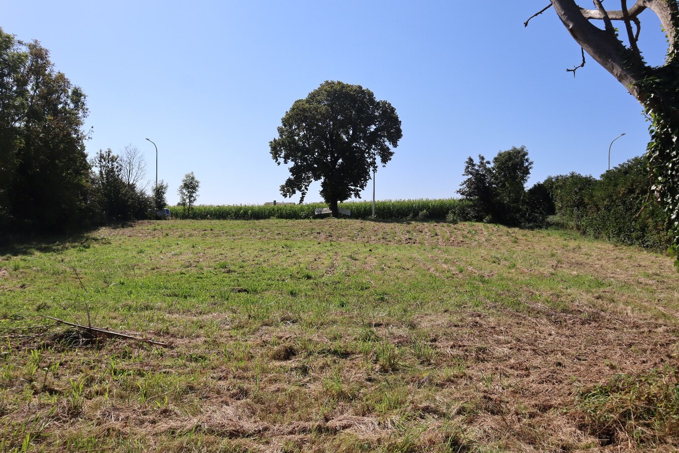 Bouwgrond Handelspand + Eengezinswoning 23 are 49 ca 