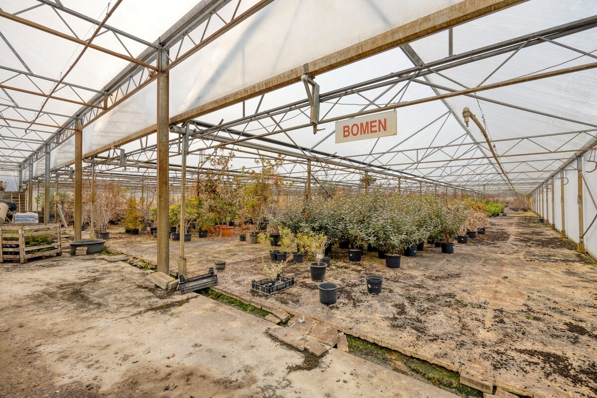 Tuinbouwcentrum met ruime woning op een perceel van 4,26 hectare 