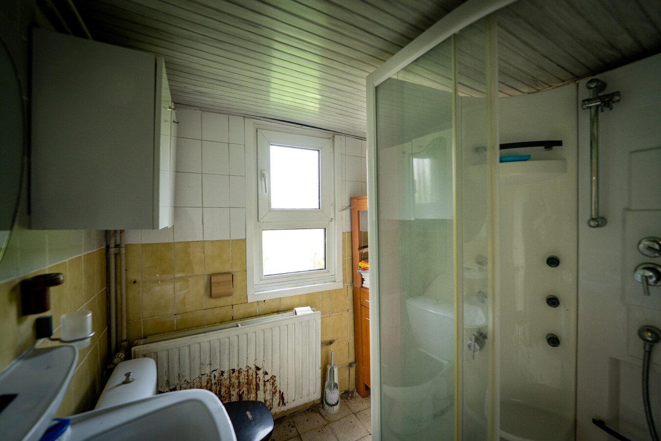 Hoeve met stalgebouwen op ca. 1ha te Bree 