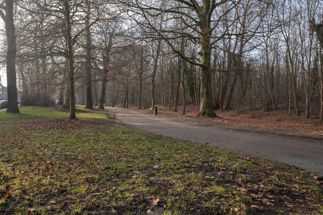 Wonen aan het Groenevalleipark met ruim terras 