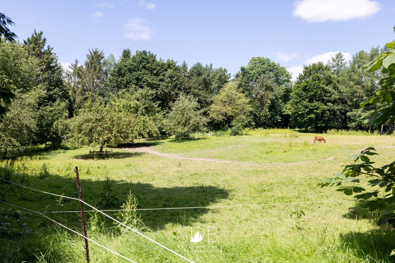 Prachtig kasteel met omringend park, weilanden en stalgebouw op circa 5hectare 