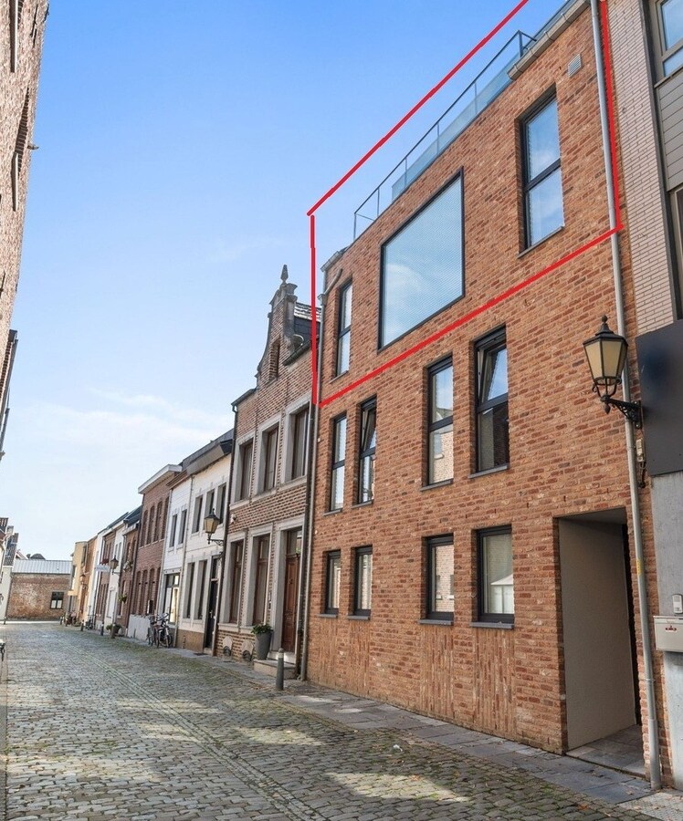 Te huur - Appartement - Maaseik