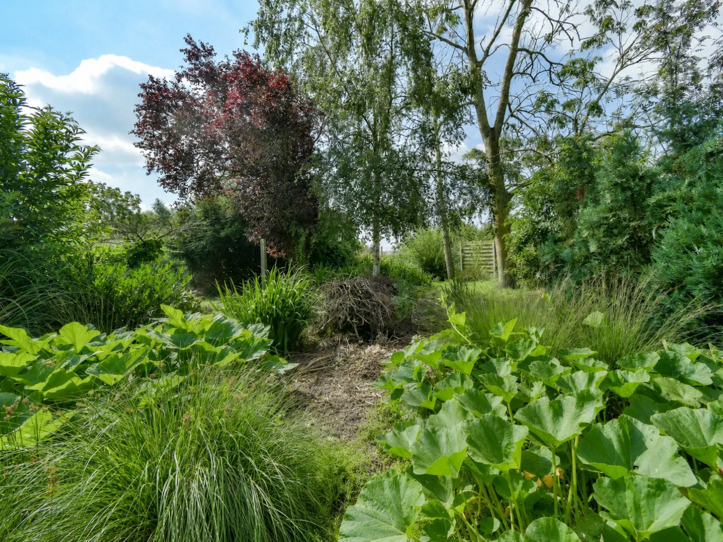 KIJKDAG zaterdag 25 juli van 10u tot 12u, op afspraak! 