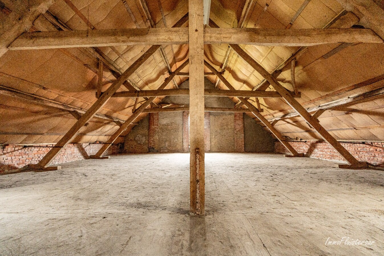 Ferme caractéristique avec une grande grange sur environ 2 hectares à Hoogstraten (achat de terrain supplémentaire d'environ 4 hectares possible). 