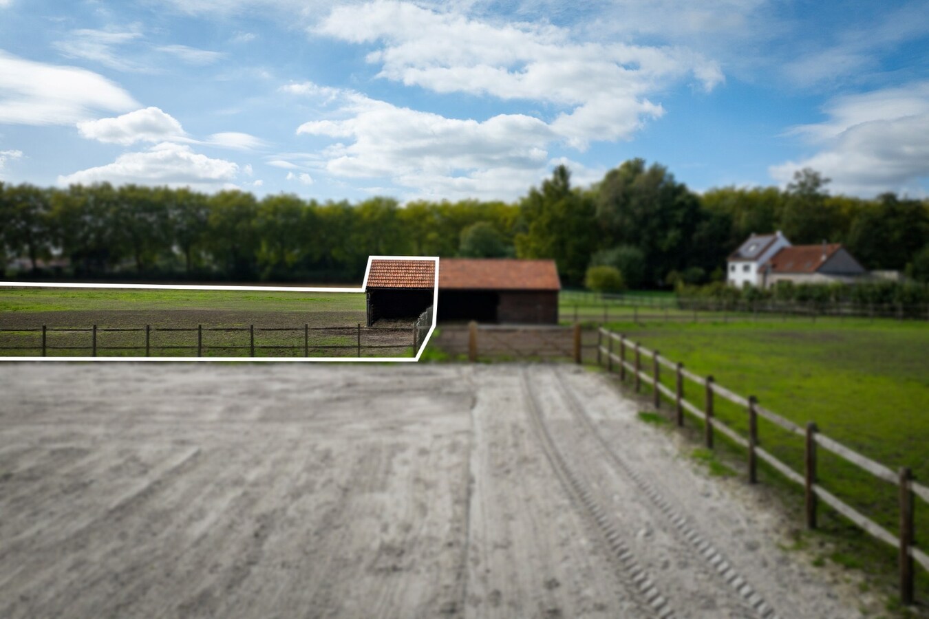 Ruime woning met weide en paddock op ca. 1ha te Bocholt 