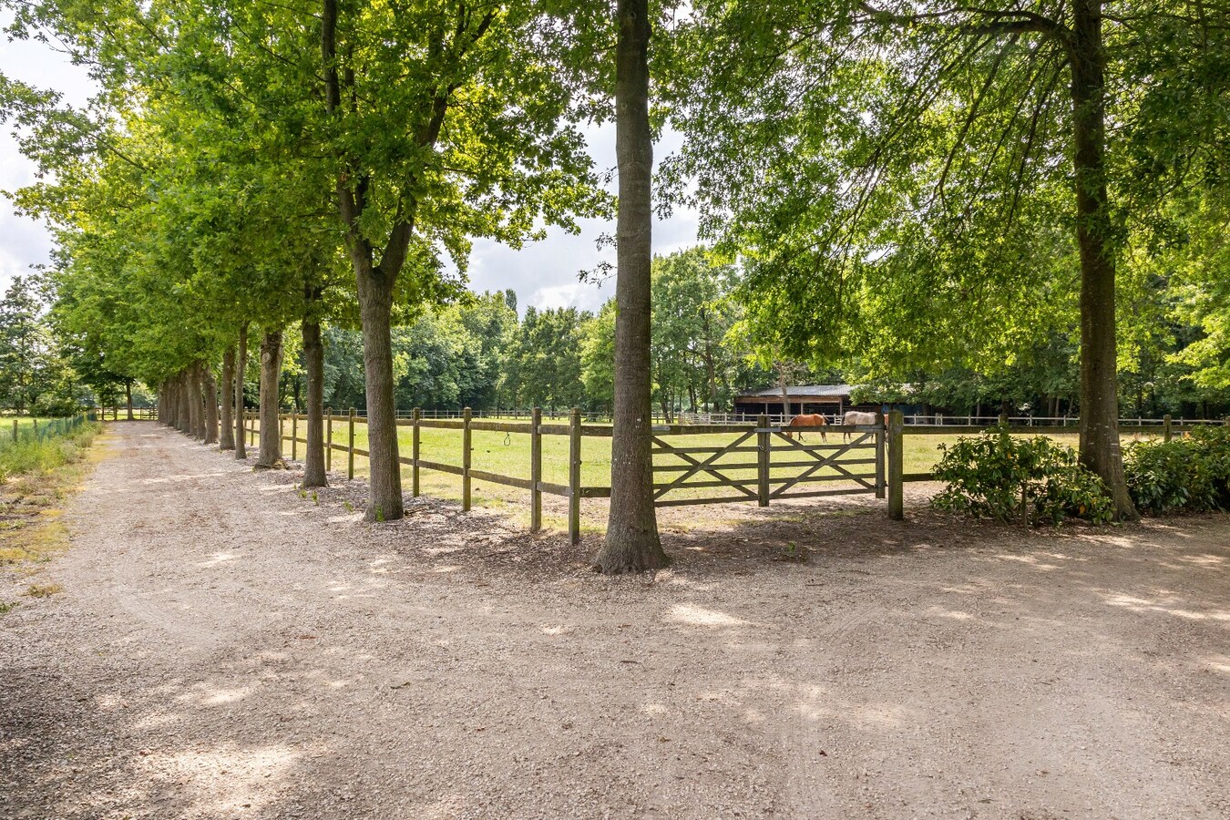 Prachtige landelijke villa met gezinstuin en graslanden op 32.558m² 