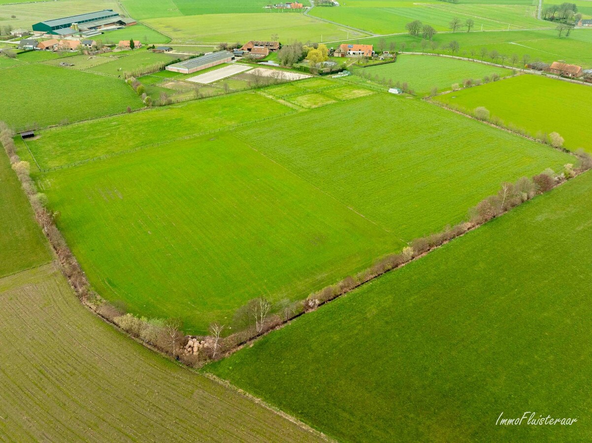 Exclusief landhuis met hippische accommodatie en binnenpiste op ca. 1,8 ha in Wuustwezel (Mogelijkheid tot aankoop van ca. 6 ha aangrenzend weiland) 
