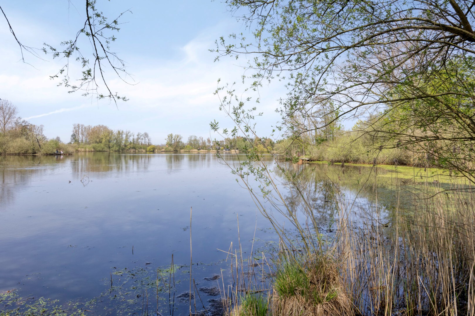 Prachtig perceel met vijvers op unieke ligging in Geel 