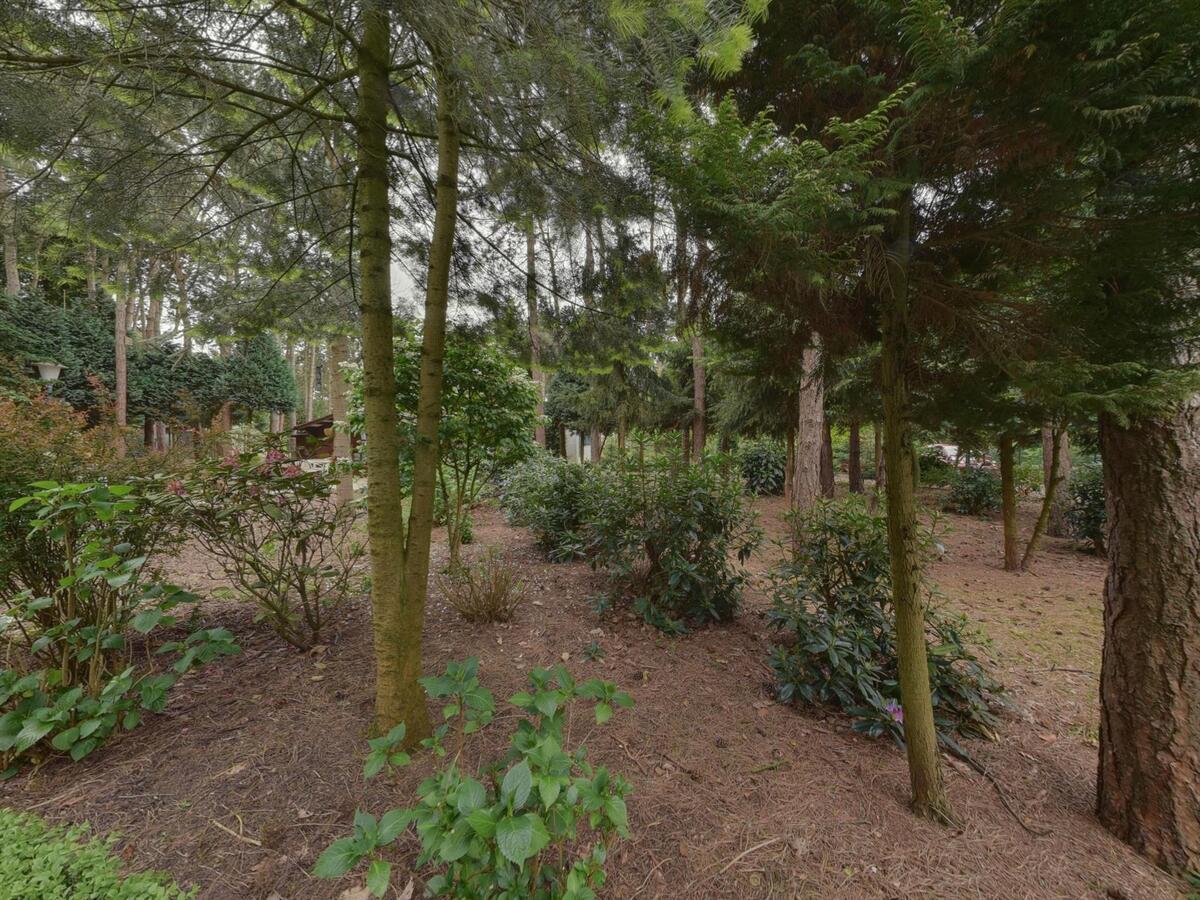 Prachtig stuk bosgrond 