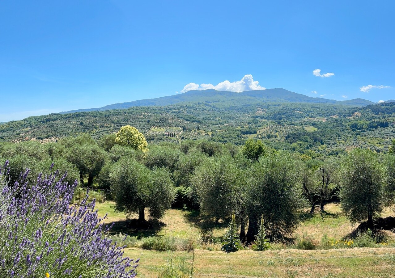 Een architecturale oase in het hart van Toscane 