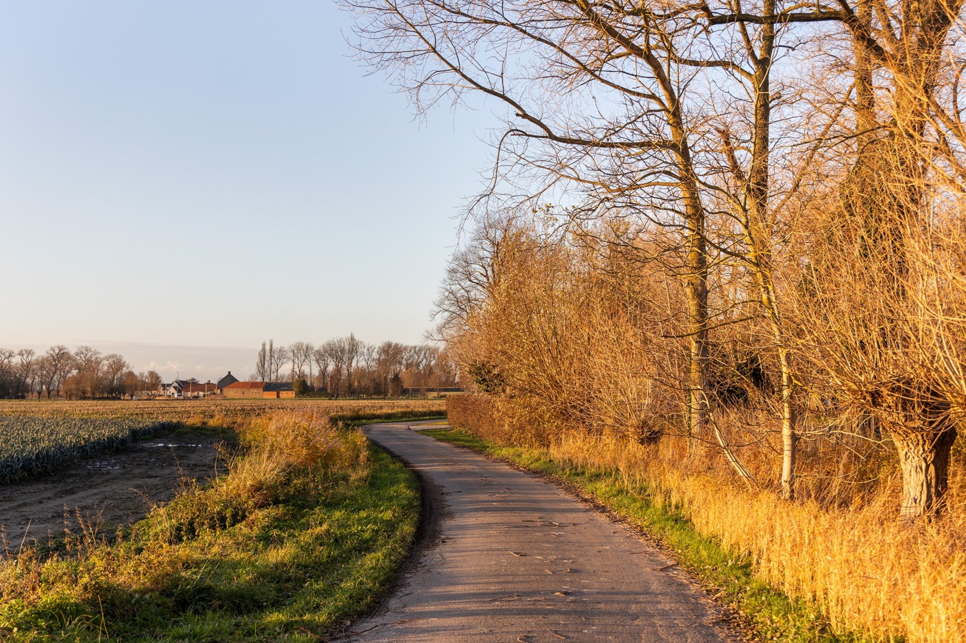 Authentiek gerenoveerde hoeve te Varsenare — een uitzonderlijk landelijke eigendom nabij Brugge 