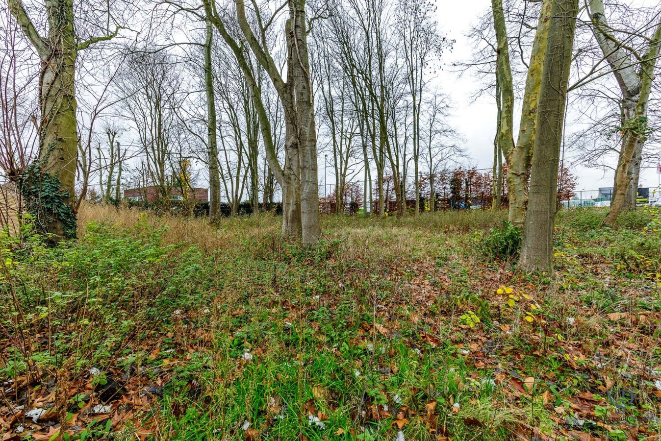 Bouwgrond - wonen tussen de bomen. 