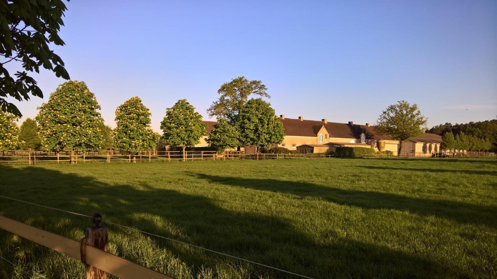 Verkocht domein - Retie