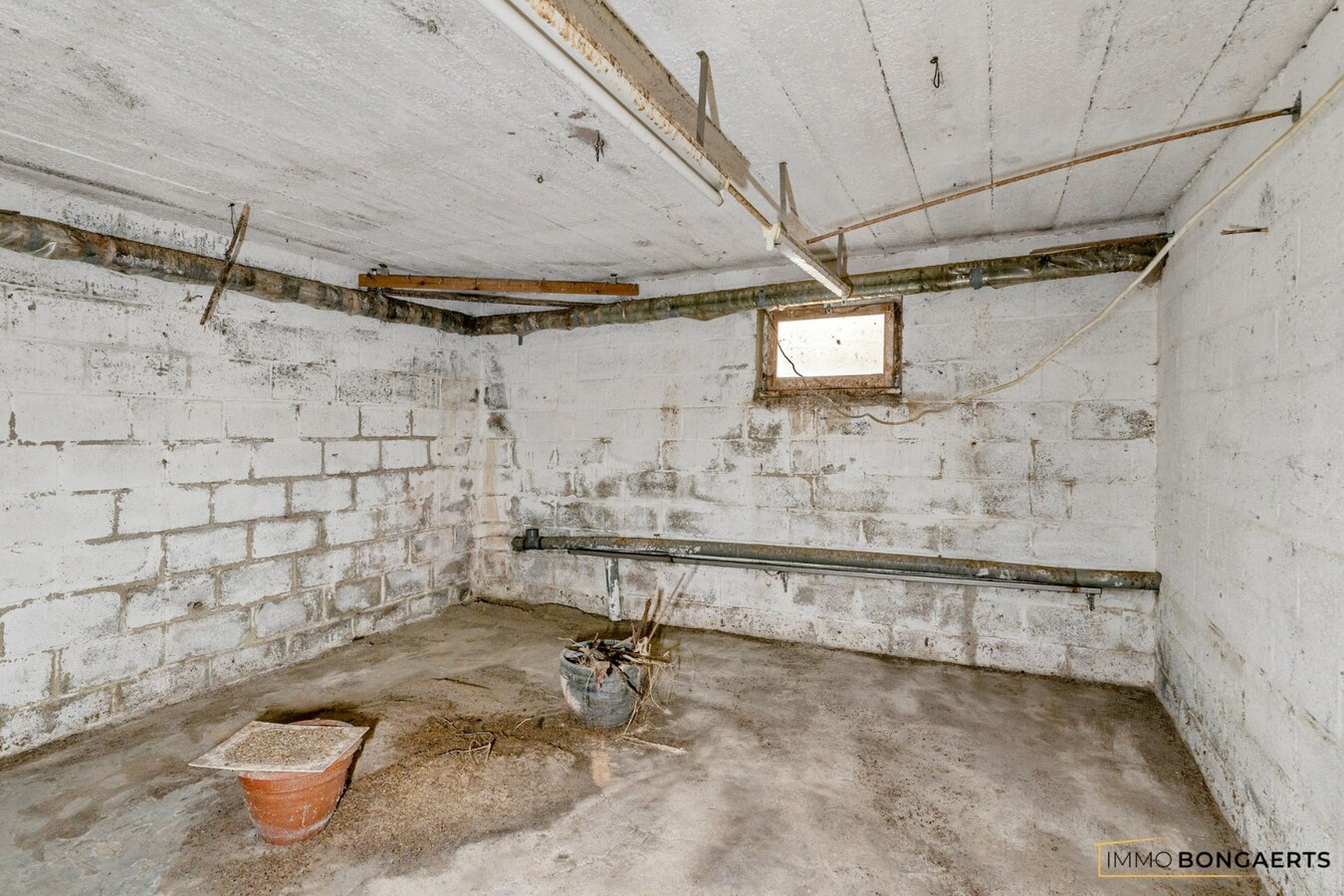 Instapklare gelijkvloerse bungalow met 3 slaapkamers 