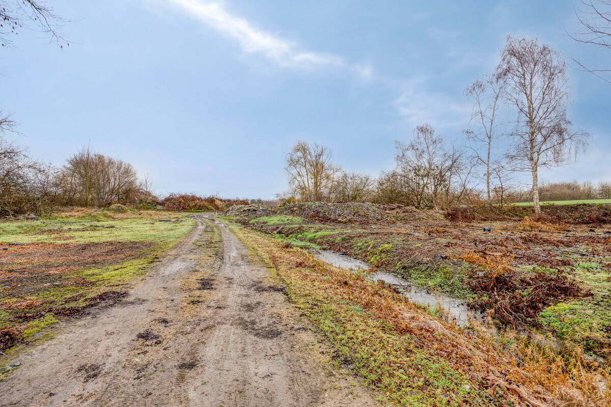 Tuinbouwcentrum met ruime woning op een perceel van 4,26 hectare 