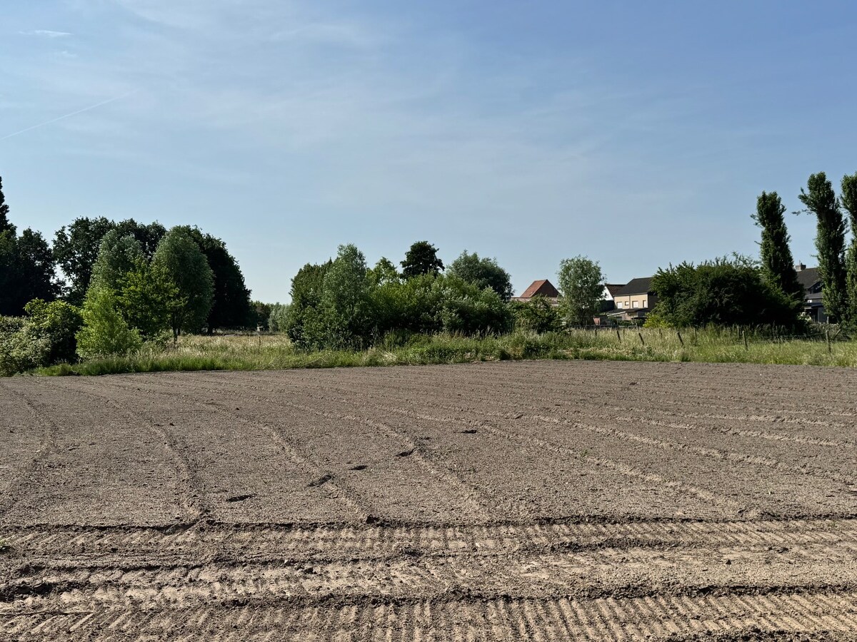 Rustig gelegen alleenstaande nieuwbouwwoning met 3 slaapkamers en prachtig zicht op de velden te Gistel 