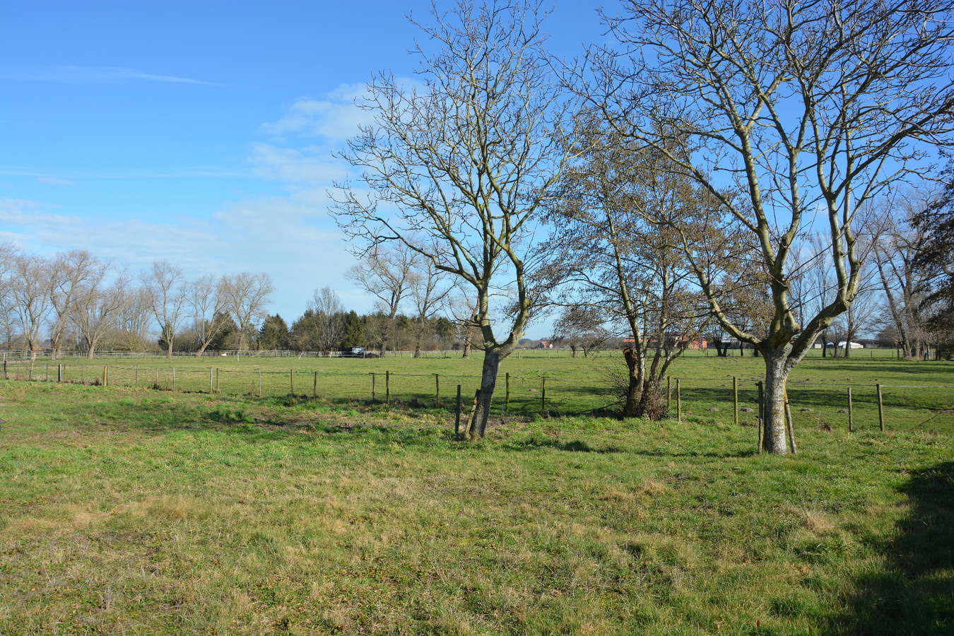 Prachtige fermettewoning op 4.661m² 