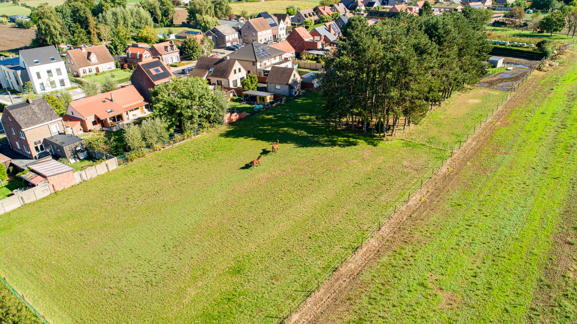 Energiezuinige woning op 6.229 m² met 4 slpks én ideaal voor paardenliefhebbers te Adegem 