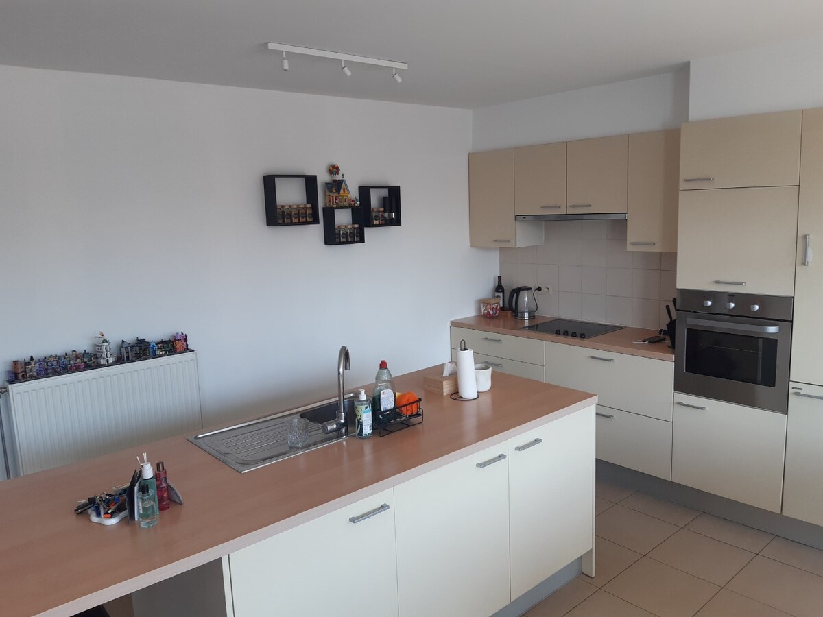 Lichtrijk dakappartement (geen vaste kosten). 