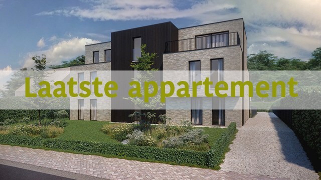 Te koop - Benedenwoning - Heusden-Zolder