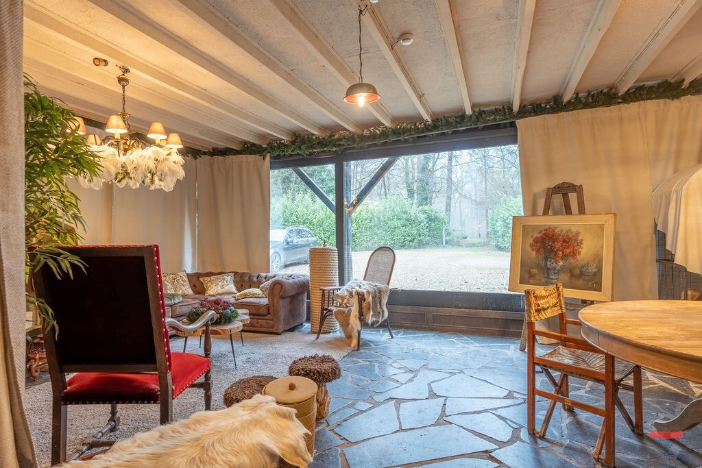 Horeca te koop | in afhandeling in Oud-Turnhout