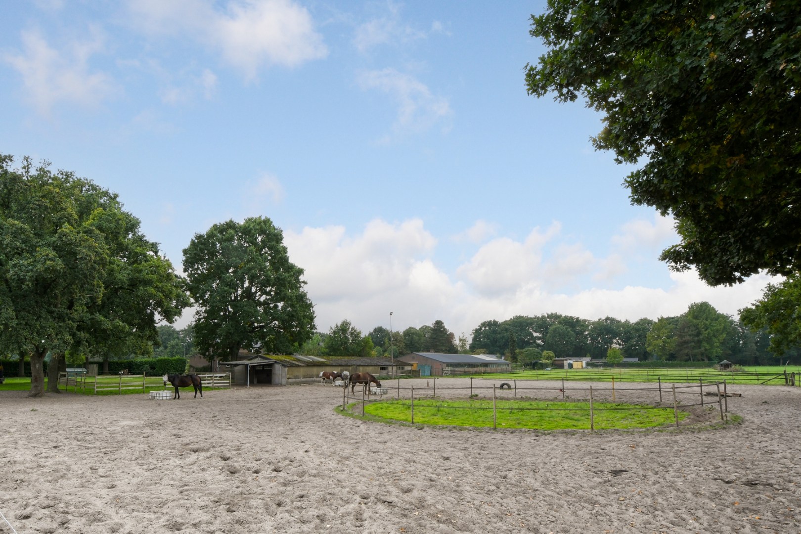 Vrijstaand woonhuis met inpandige garage, stal met 2 paardenboxen, vrijstaande inloopstal en verlichte zandpaddock met longeercirkel op een perceel van ruim 18.500 m2. Ideaal voor paardenliefhebbers. 